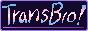 trans bro